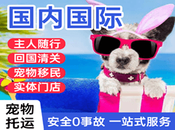 金湾空运公司国际宠物托运 【国