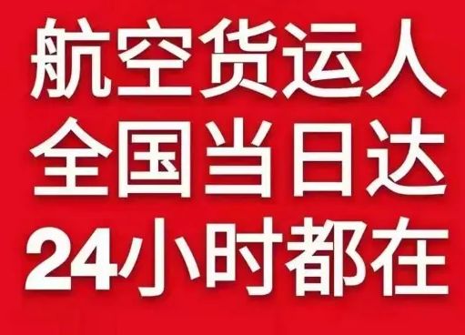 金湾空运公司货物、航空货运:物流行业各岗位招聘